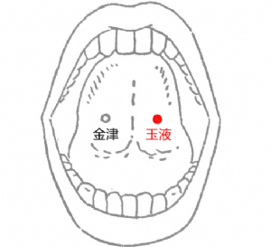 經外奇穴——玉液穴的位置