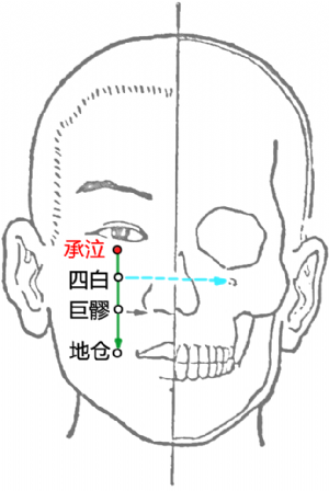 承泣穴的位置