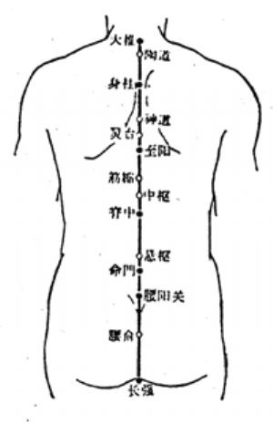 中樞穴的位置