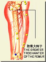 膝陽關的位置